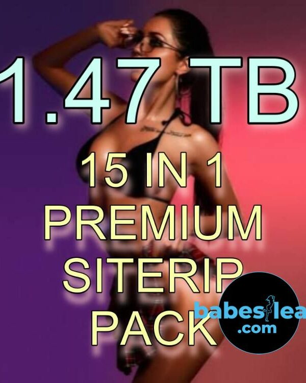 1.47 TB 15 in 1 Premium Siterip