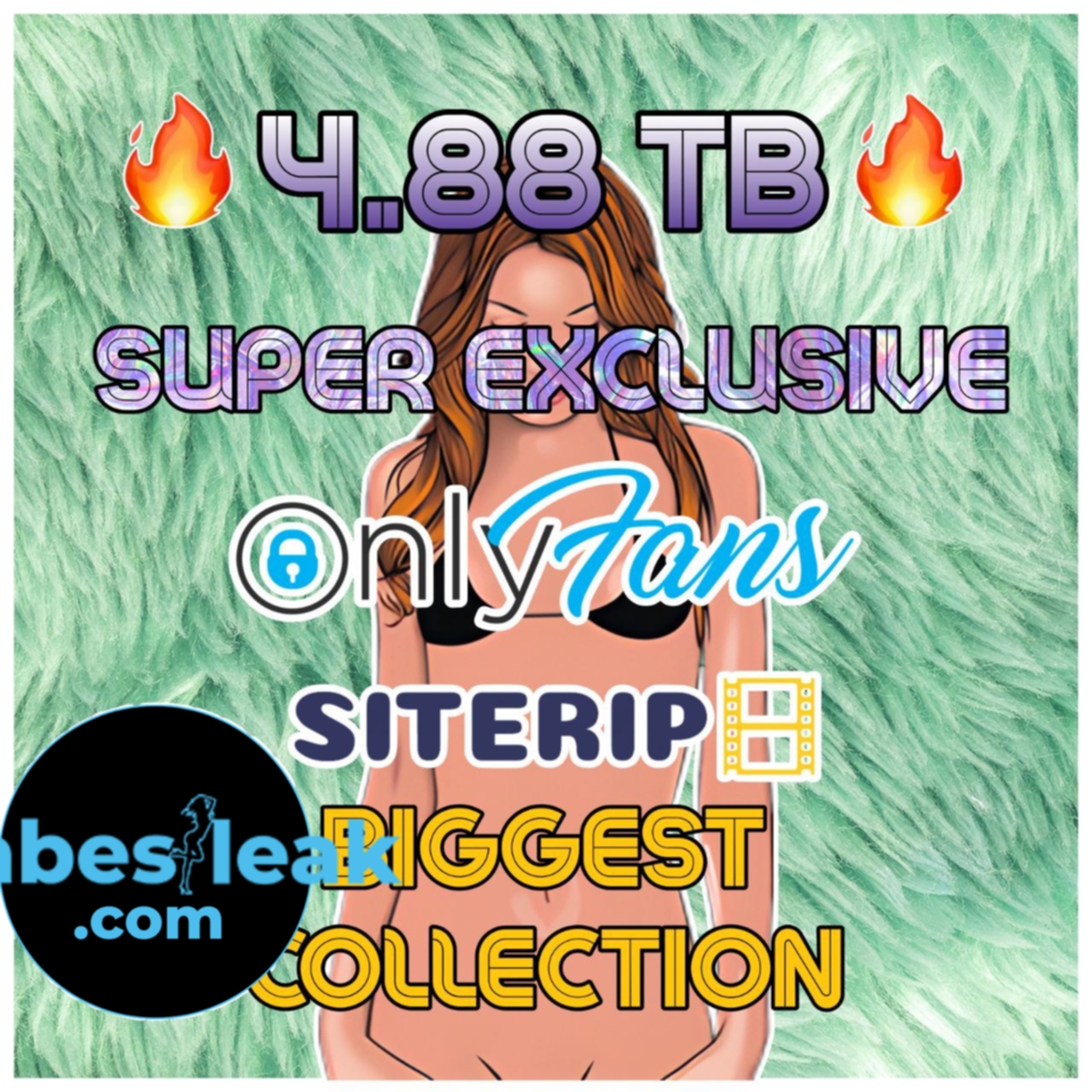 4.88 TB Onlyfans + Siterip leak